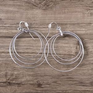 Elegant Silver Hoop Earrings